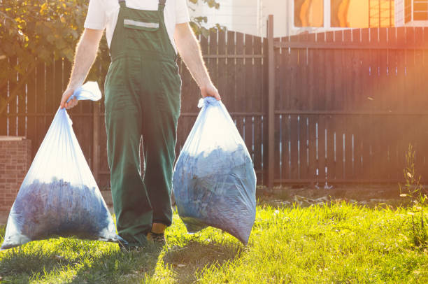 Best Shed Removal  in Elizabeth Lake, CA